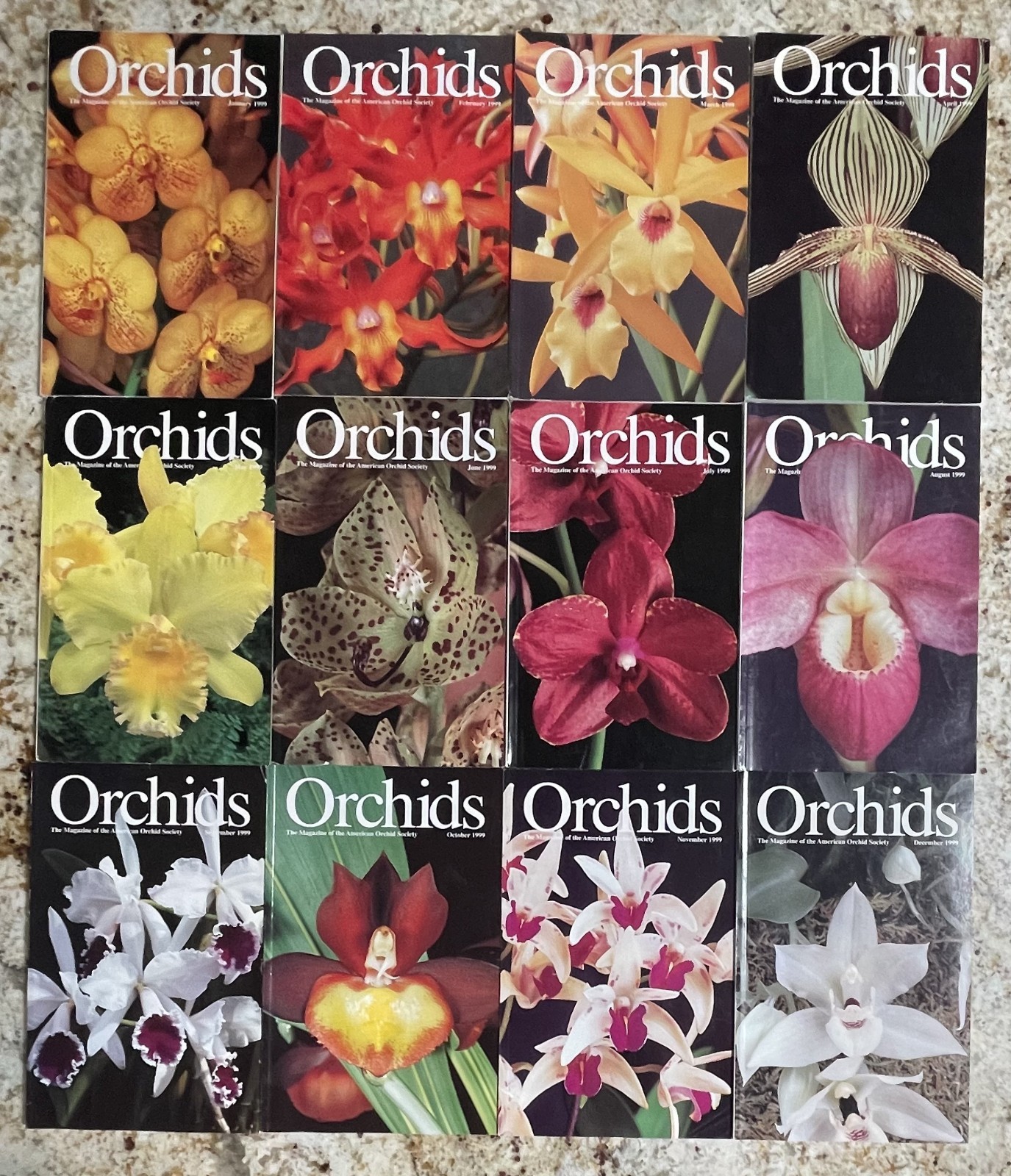 Lot Of 12 ORCHIDS Magazines 1999 Vintage American Orchid Society