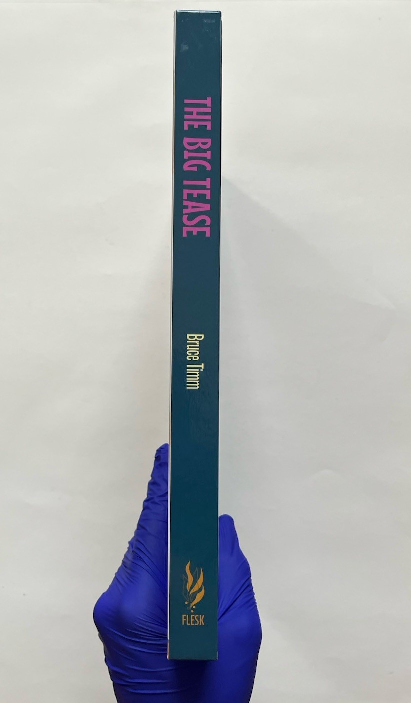 The Big Tease Hardcover 2020 Bruce Timm Flesk Publications Very Good Mini Print