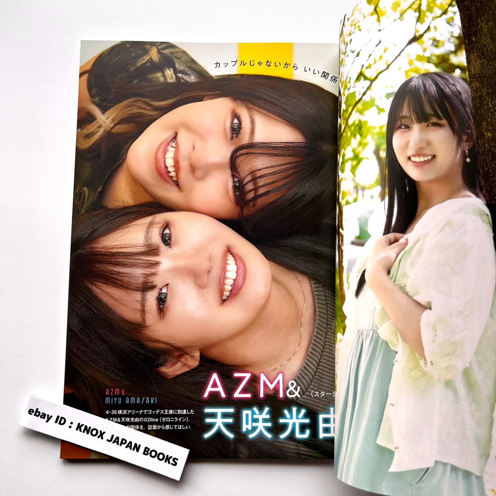 Women&rsquo;s Pro Wrestling RING PLUS magazine vol.13 2026 Weekly Pro Wrestling Japan