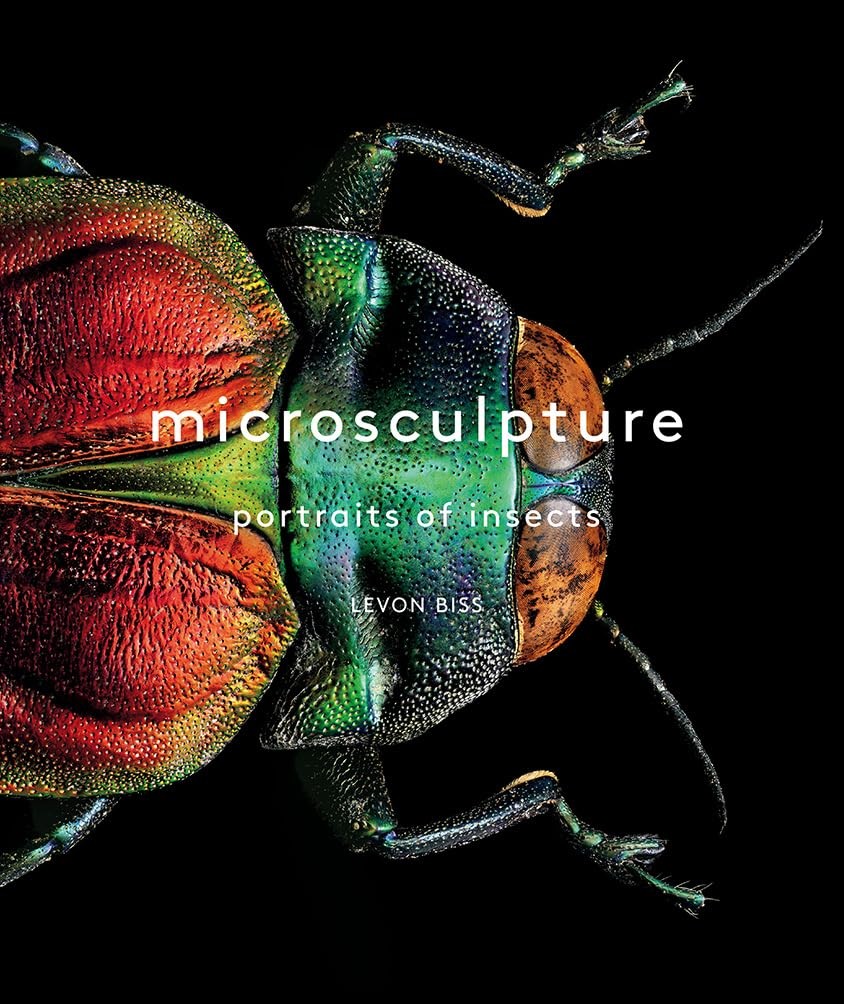 Microsculpture: The Mind-Blowing Microscopic World of Bugs, Beetles, and Mot…