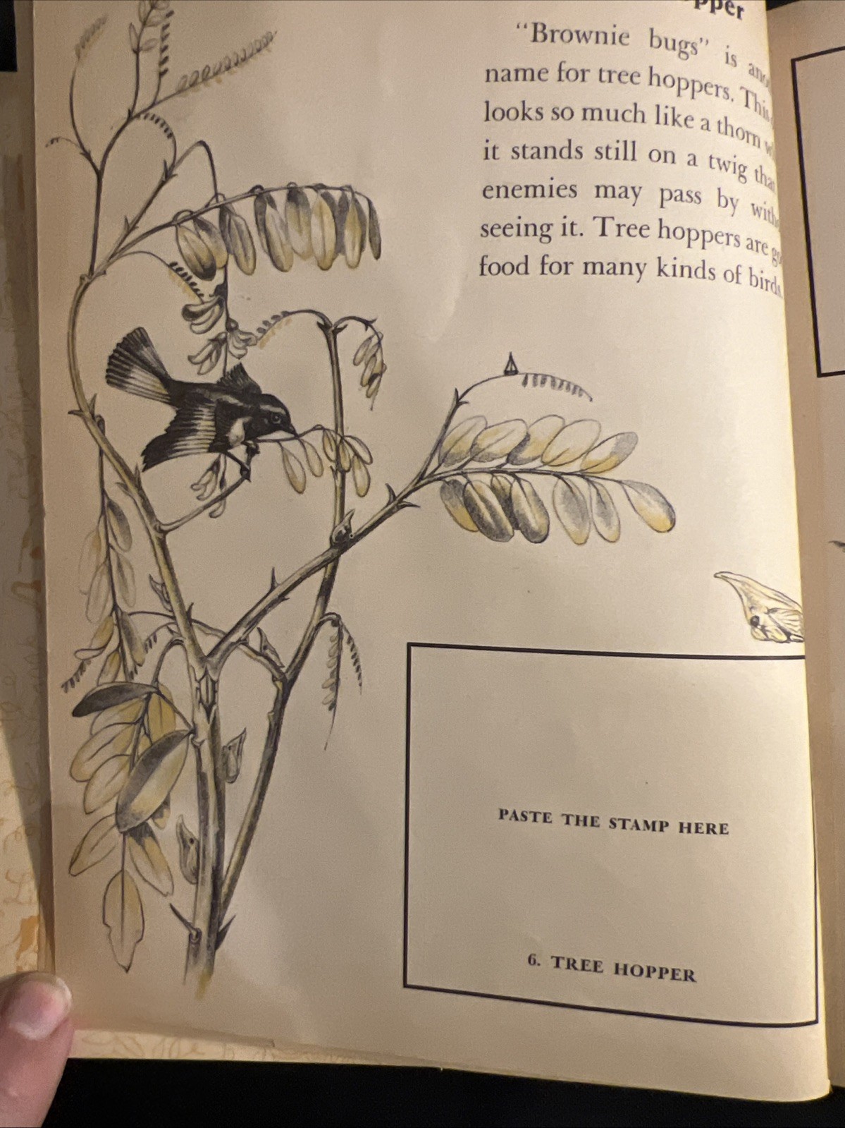 Vintage A Little Golden Activity Book Insect Stamps 1958 A25 .25 #5123