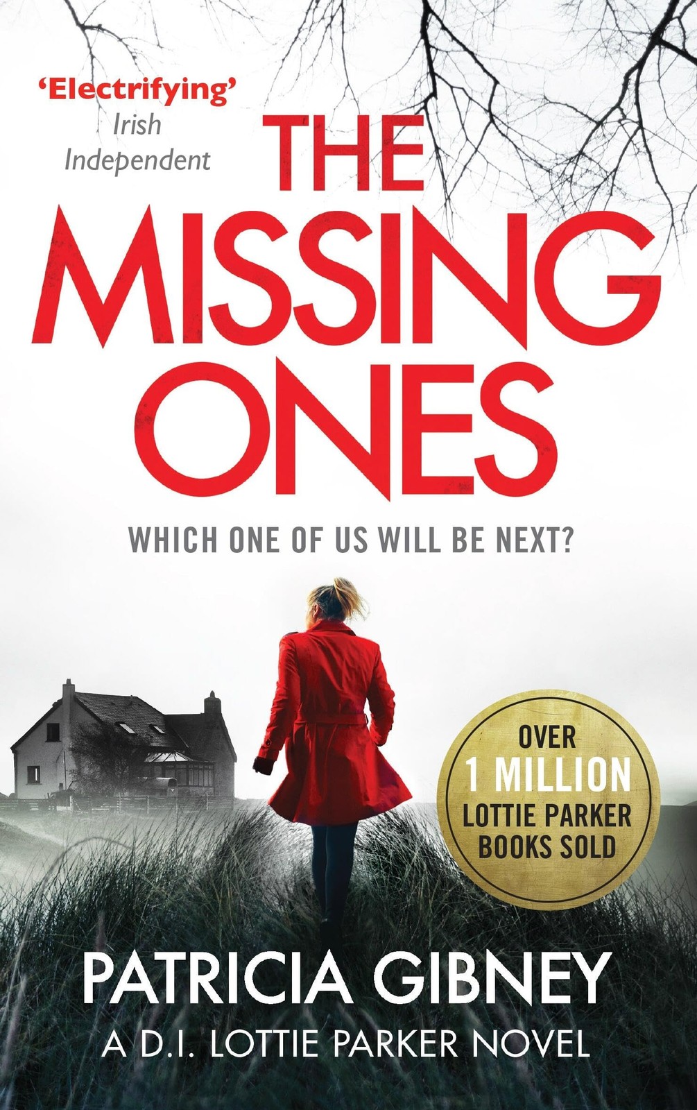 Missing Ones by Patricia Gibney