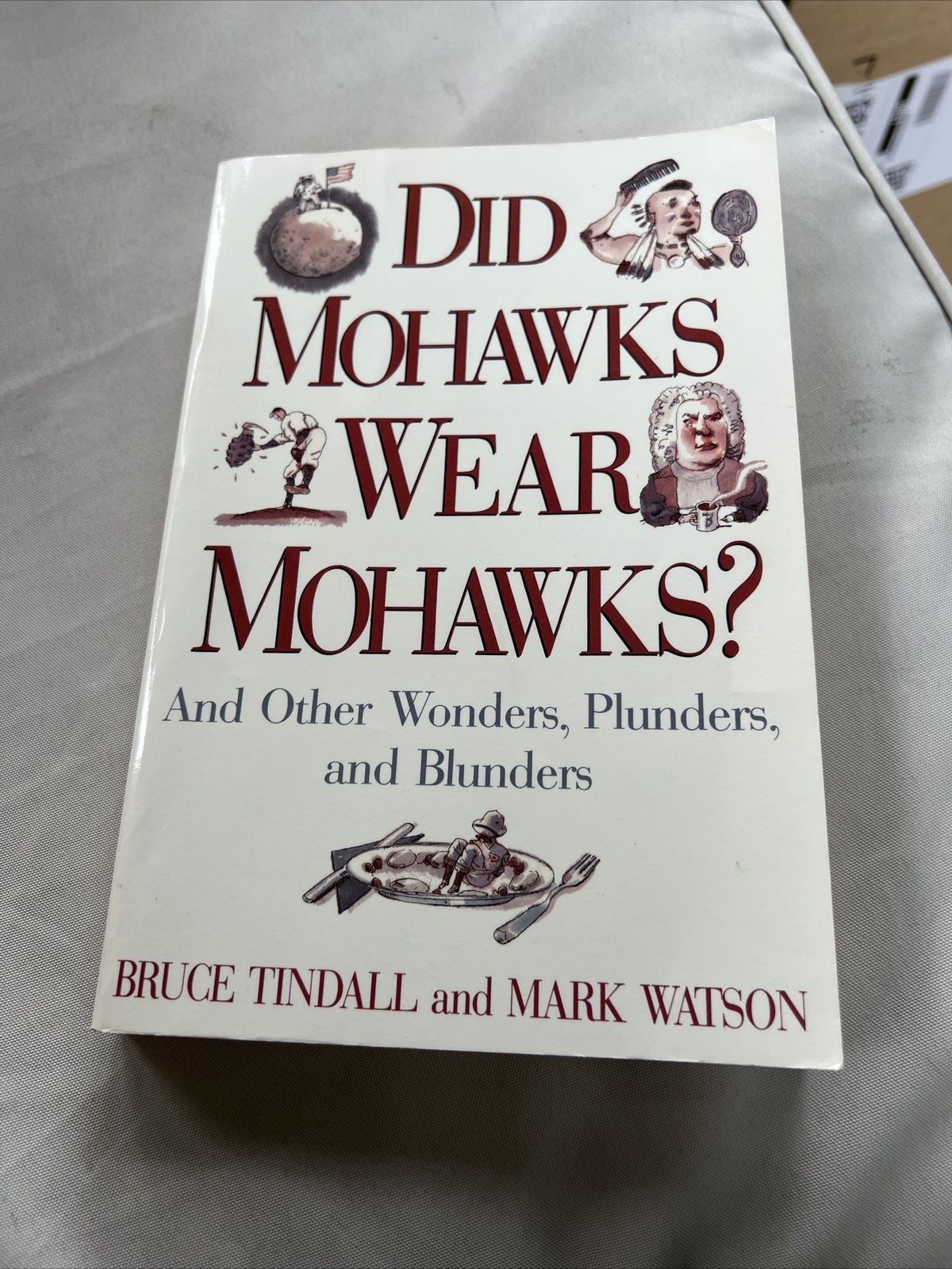 Did Mohawks Wear Mohawks? : And Other Wonders, Plunders, and Blunders by Mark…