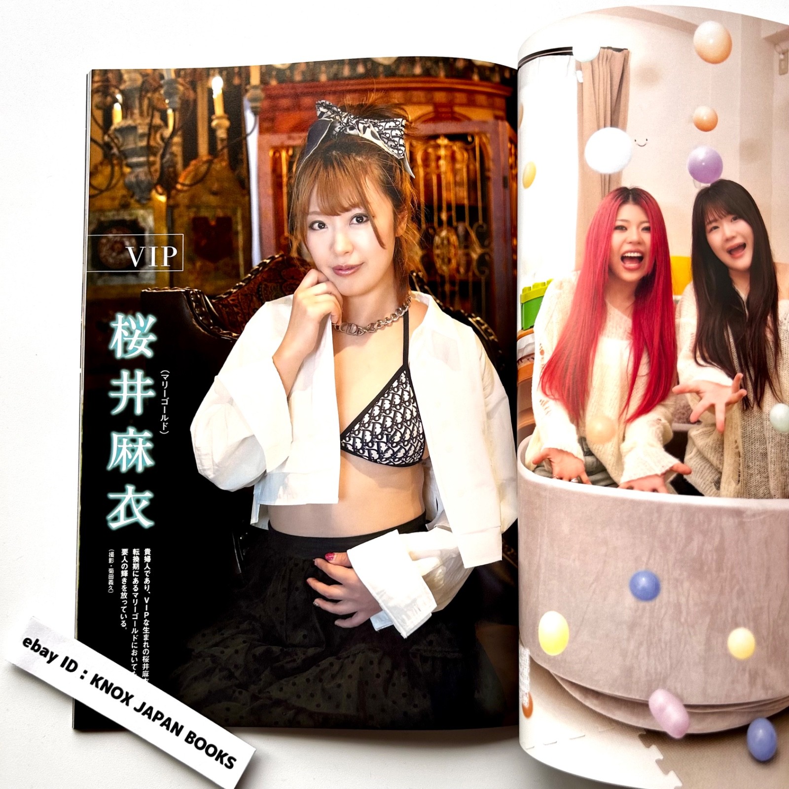 Women&rsquo;s Pro Wrestling RING PLUS magazine vol.13 2026 Weekly Pro Wrestling Japan