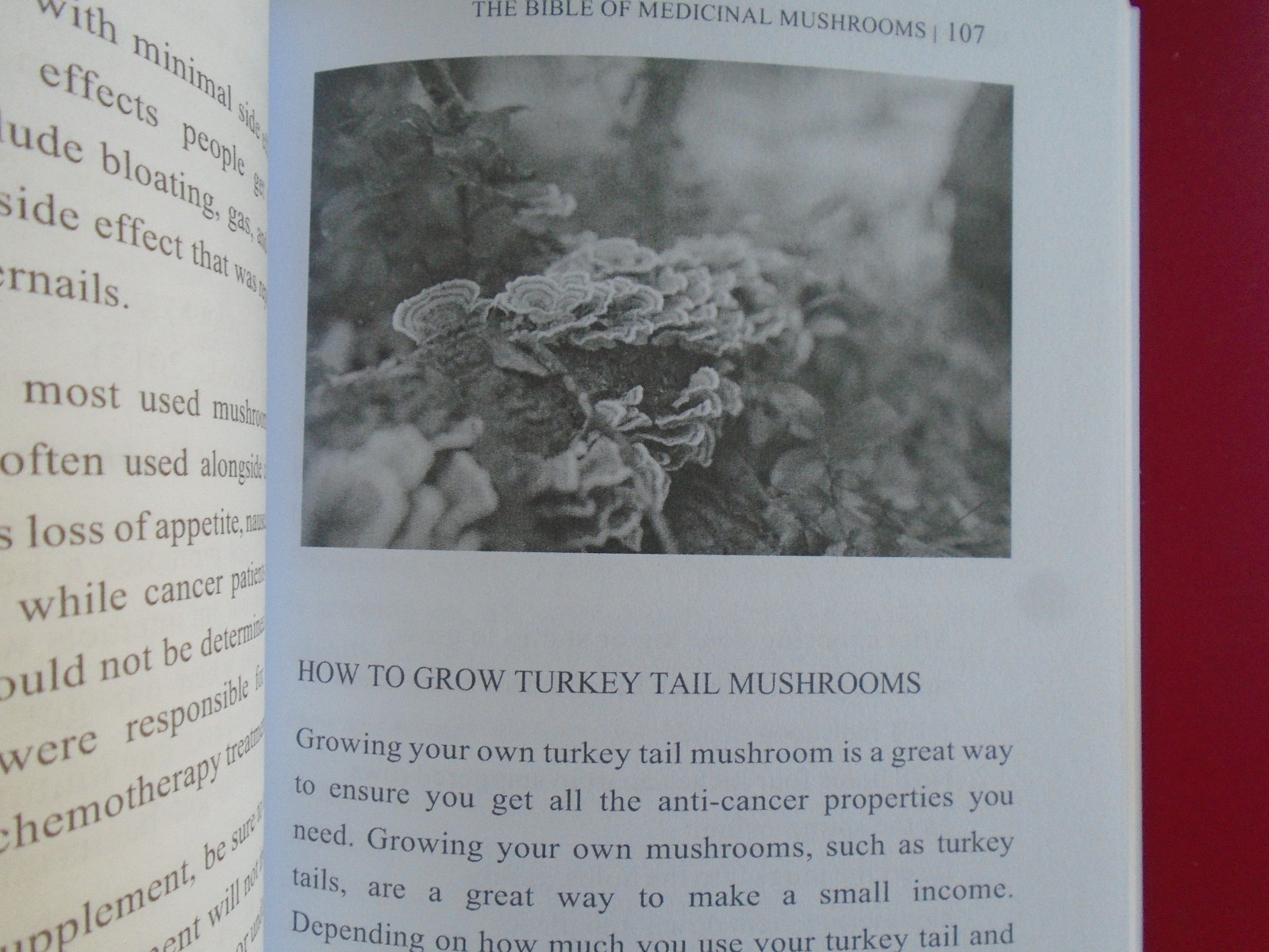 The Bible of Medicinal Mushrooms by J.P. Rae, 2022 1st Edition, 205 Pages