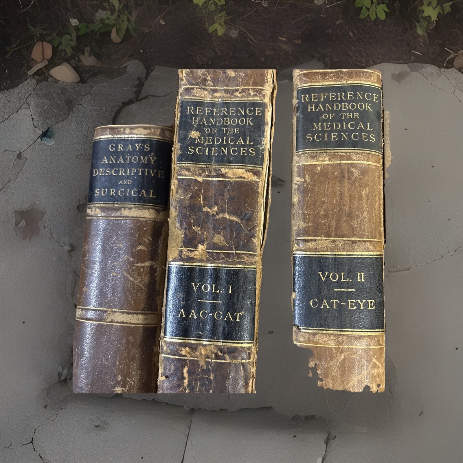 Reference Handbook of Medical Sciences Volumes 1-8 Complete Set Hardcover 1884