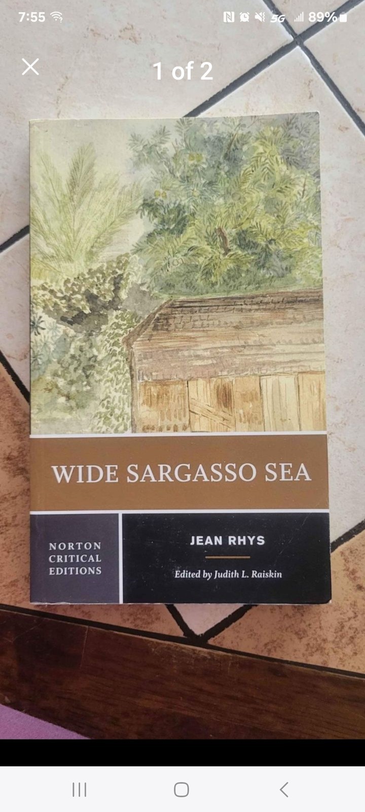 Wide Sargasso Sea
