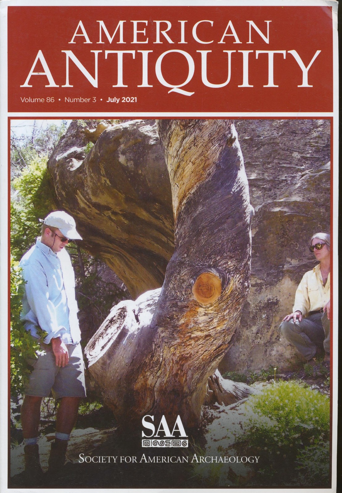 AMERICAN ANTIQUITY MAGAZINE Lot of 18 2005-2021 SAA Society Am. Archeology READ!