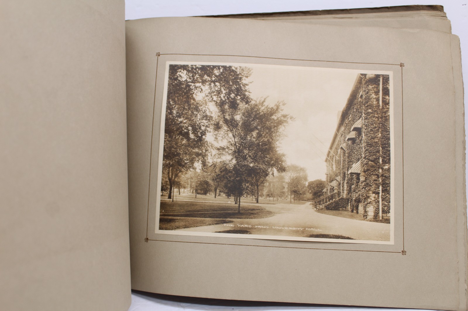 Antique Harvard University Albertype Souvenir Photo Book 25-6&Prime;x8&Prime; pictures