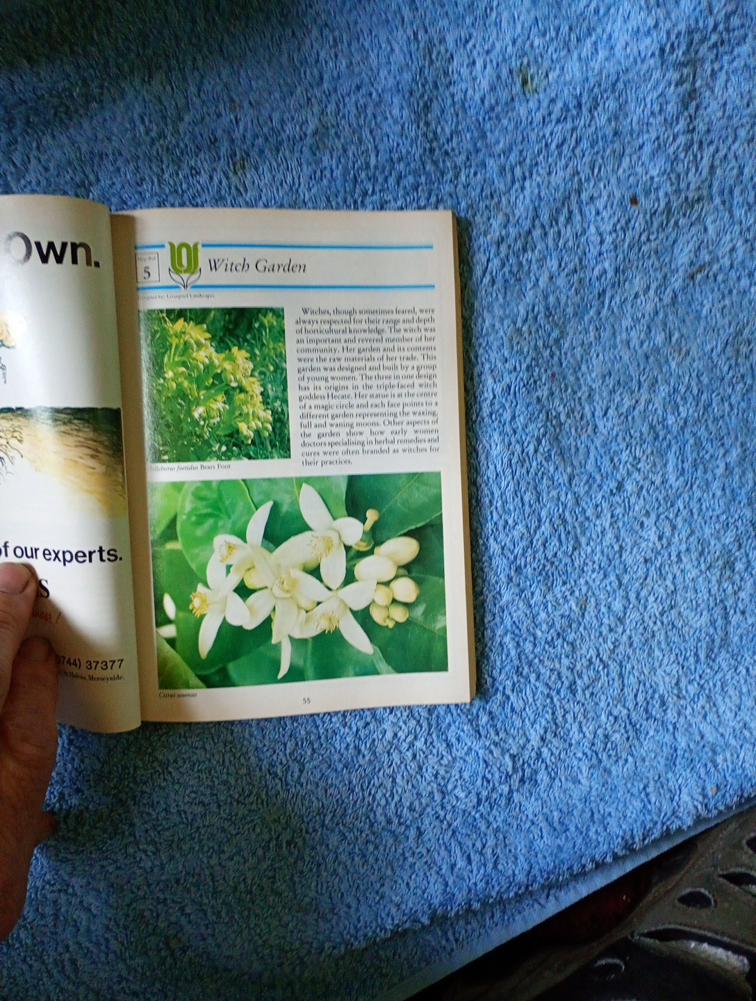 RD LIVERPOOL 84 GARDEN FESTIVAL GUIDE A BIT GRUBBY. BUT RARE 224 Pages