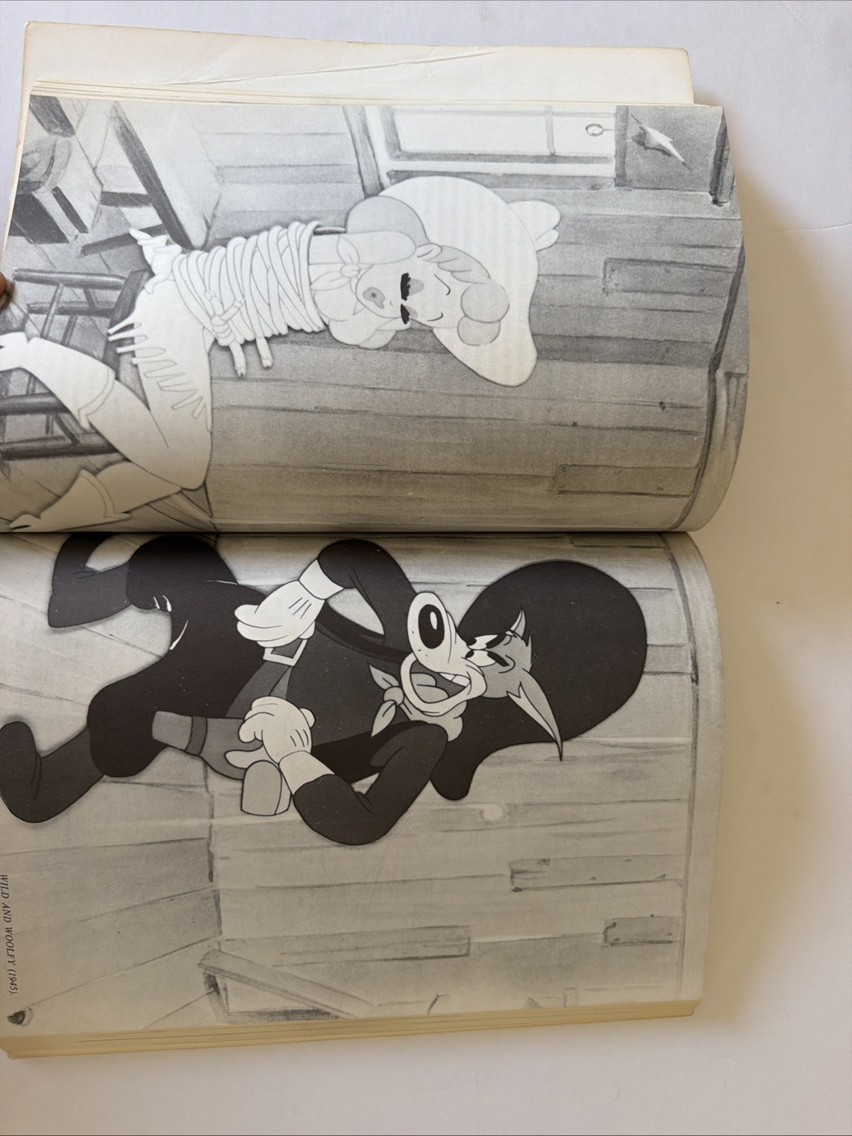 TEX AVERY: KING OF CARTOONS: The Man Who Created Bugs Bunny & Looney Tunes*RARE!