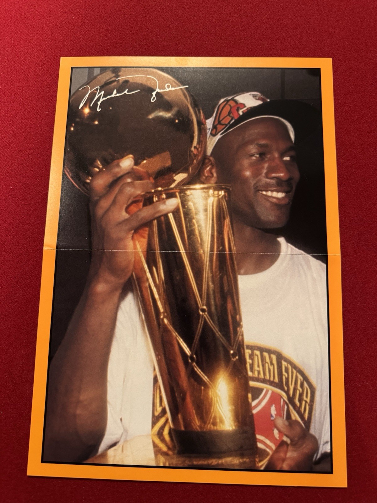 1991 Michael Jordan 8×11.5 in. David Stern Facsimile NBA Finals Bulls Champions