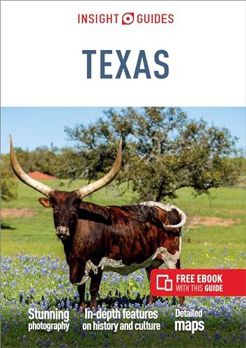 Insight Guides Texas Travel Gu – Paperback – GOOD