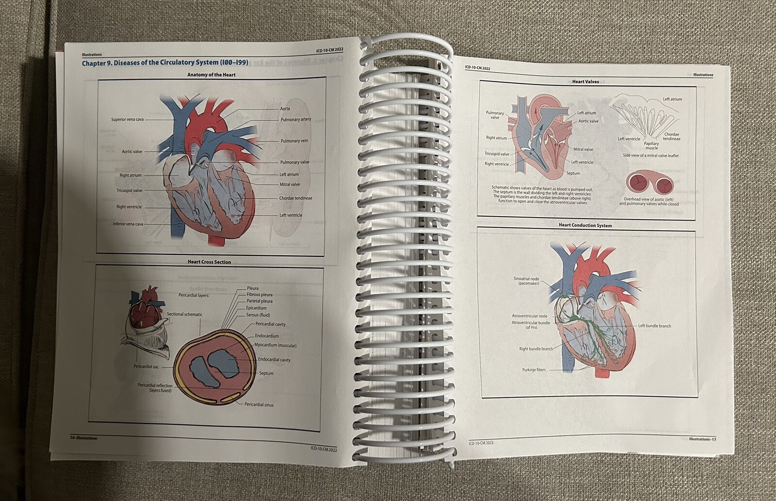 ICD-10-CM Expert for Physicians The Complete Official Code Set 2022 (Spiral)