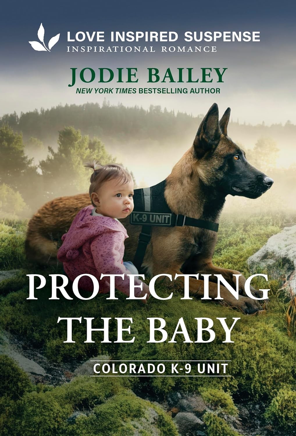 Protecting the Baby (Original) Mass Market Paperbound by Jodie Bailey