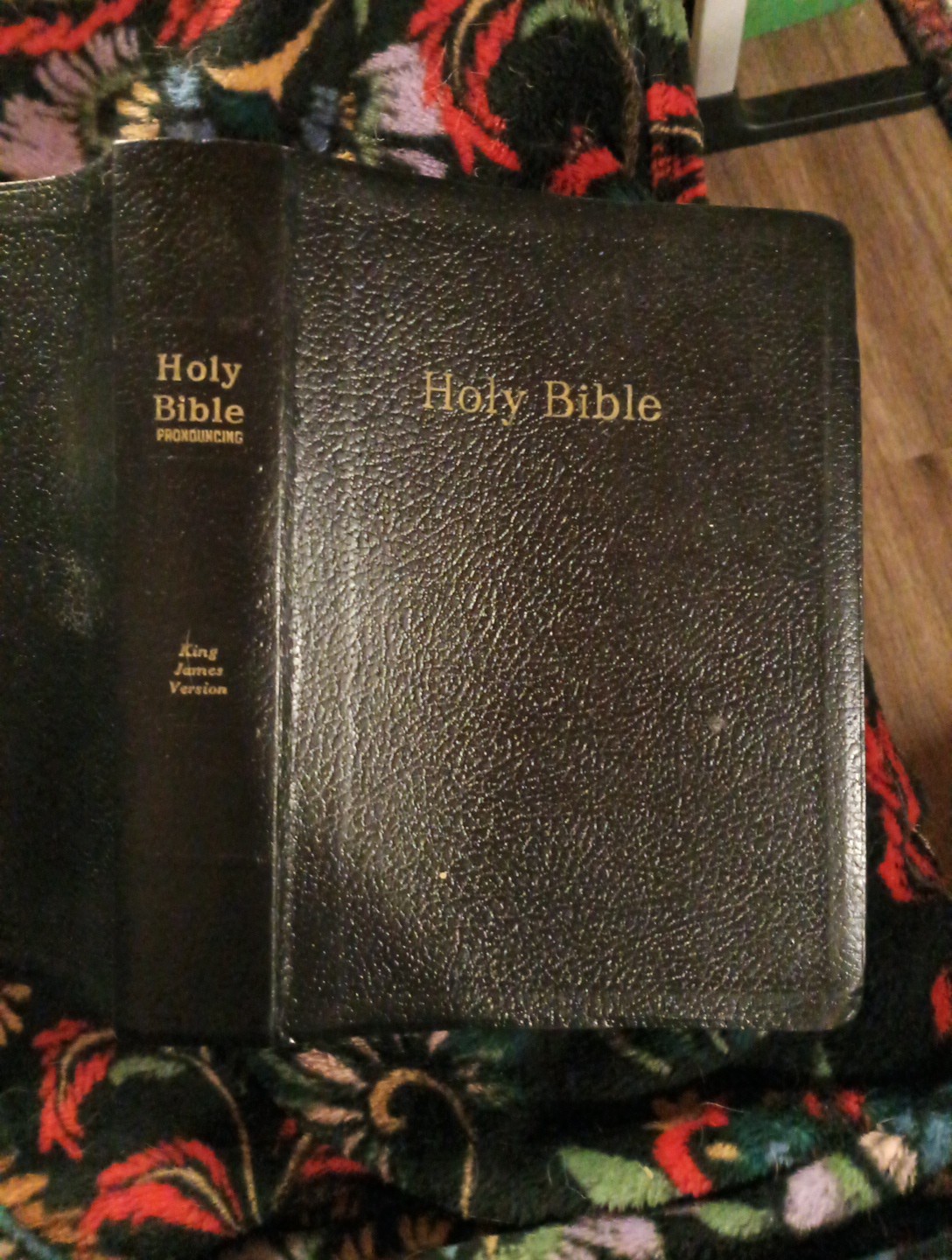 Holy Bible Self Pronouncing KJV King James Version World Publishing Large Print