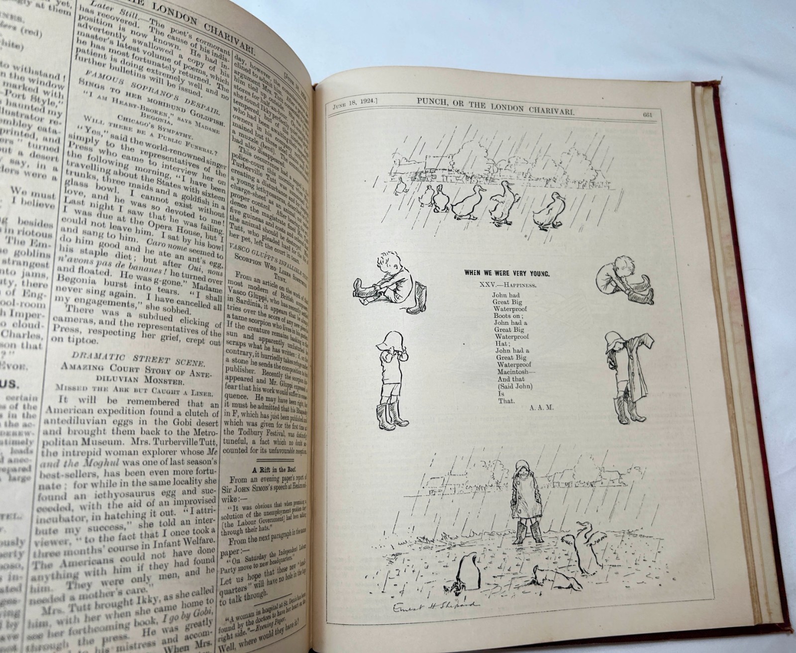 Rare Winnie-the-Pooh, 1924 Rare First Appearance, First Edition, ~A.A.Milne