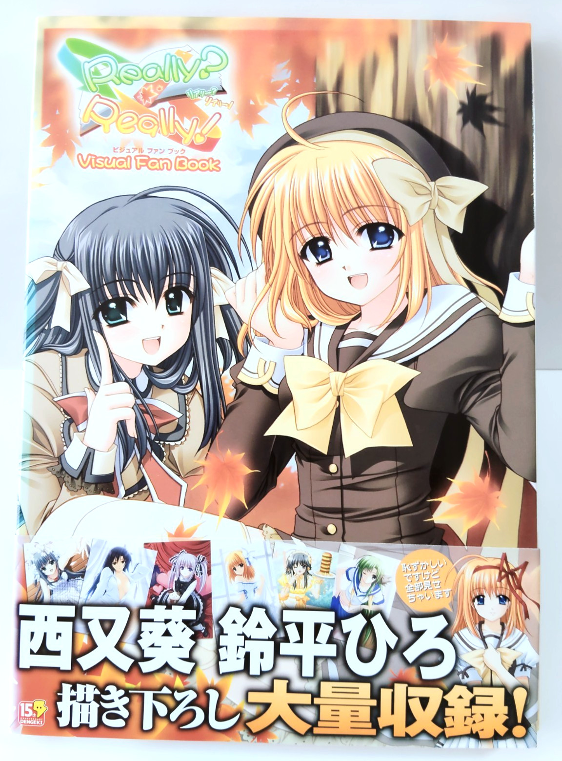 Really? Really! Visual Fan Book Navel Aoi Nishimata Hiro Suzuhira Anime Art Book