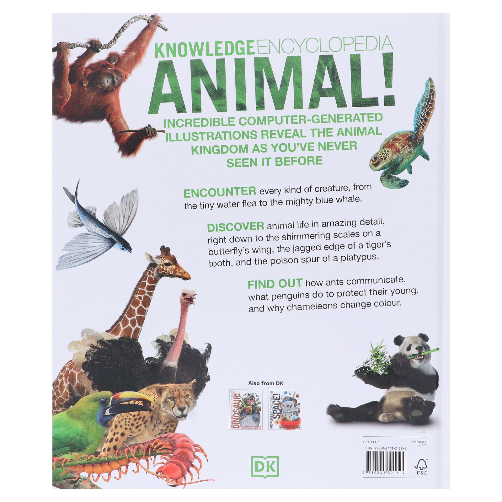 Knowledge Encyclopedia Animal! by DK – Ages 9+ – Hardback