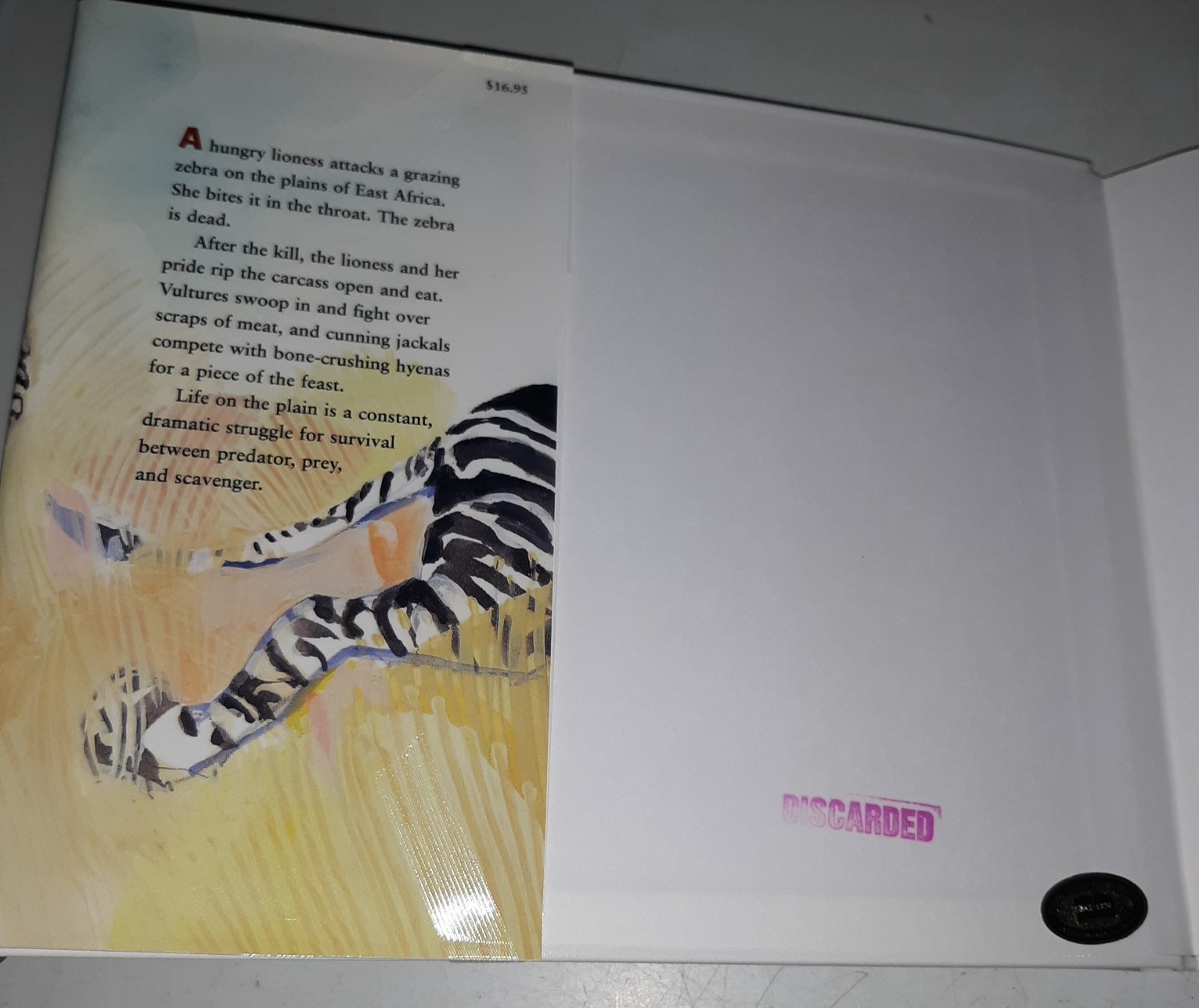 After the Kill by Darrin Lunde Illustrated by Catherine Stock Ex-Library