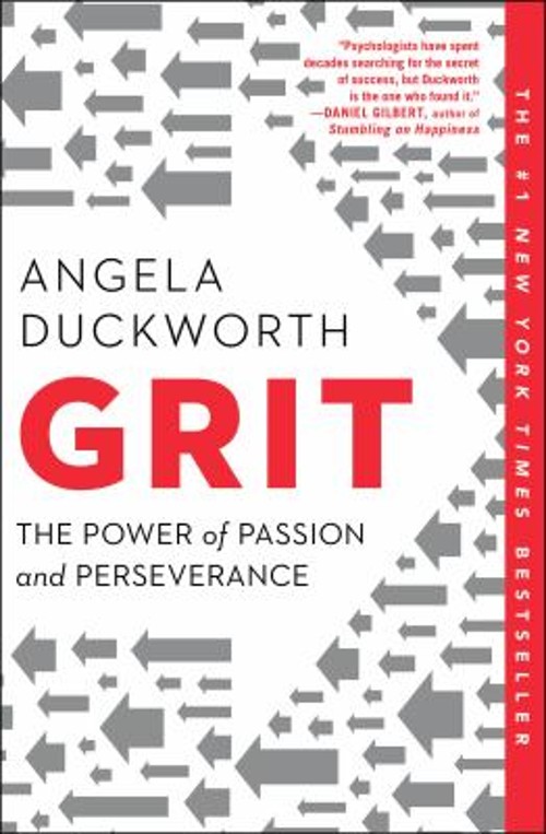 Grit : The Power of Passion and Perseverance Paperback Angela Duc