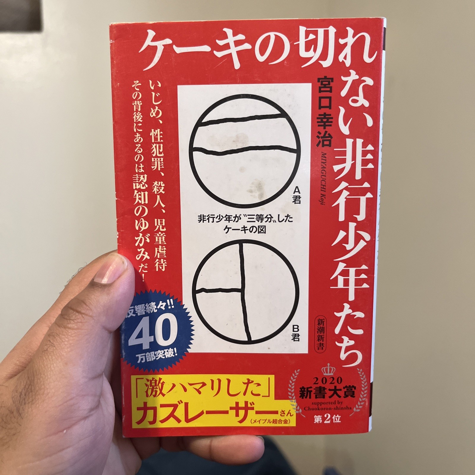 The Cut Cake: Non-Violent Juvenile Delinquency (Japanese Psychology Book)