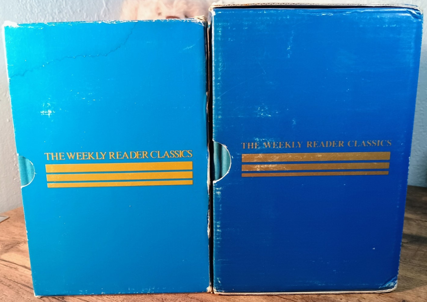 *1983* 🎣The Weekly Reader Classics 10 Book Box Set Hardcover🦄