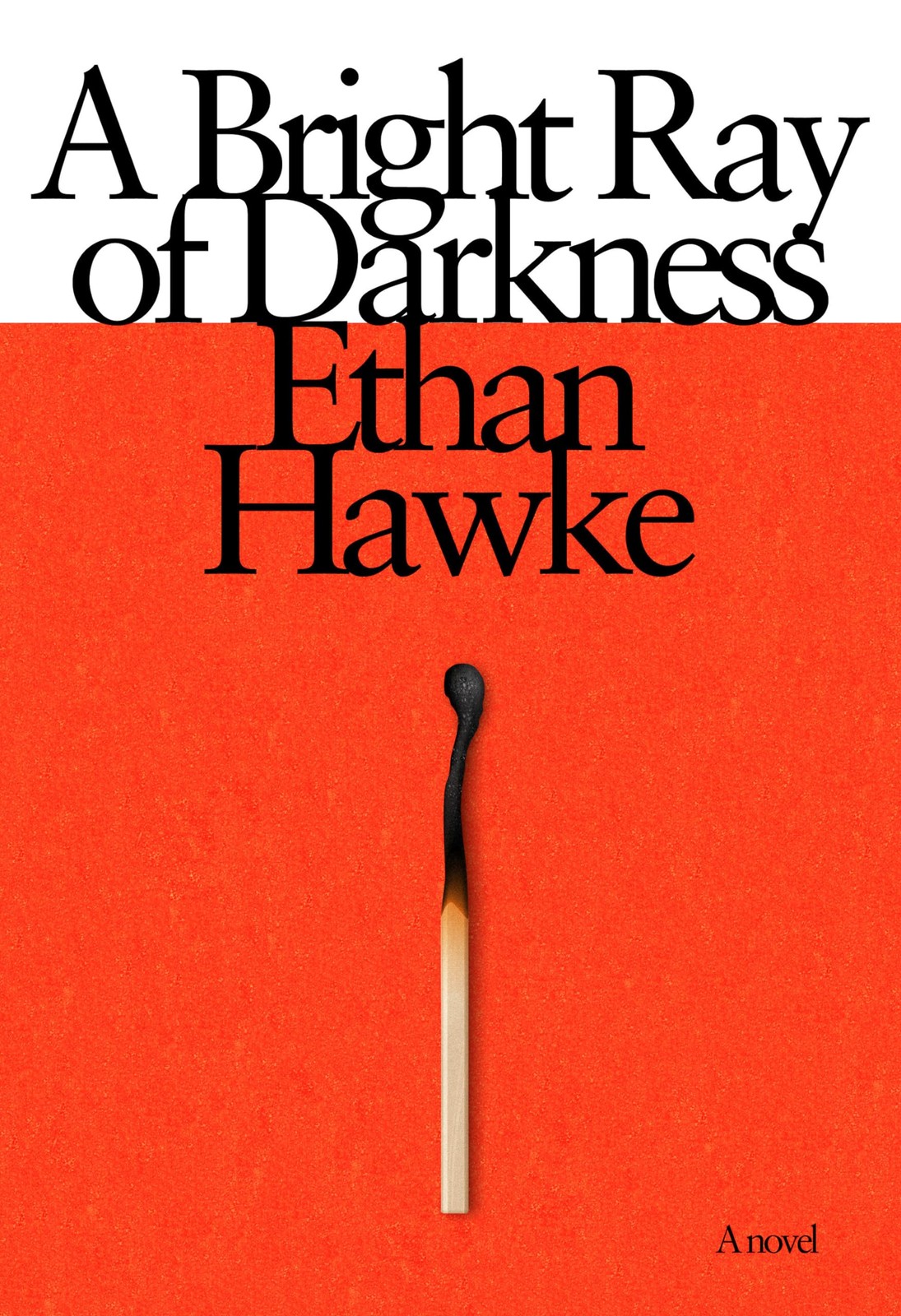 A Bright Ray of Darkness: A novel – hardcover Hawke, Ethan
