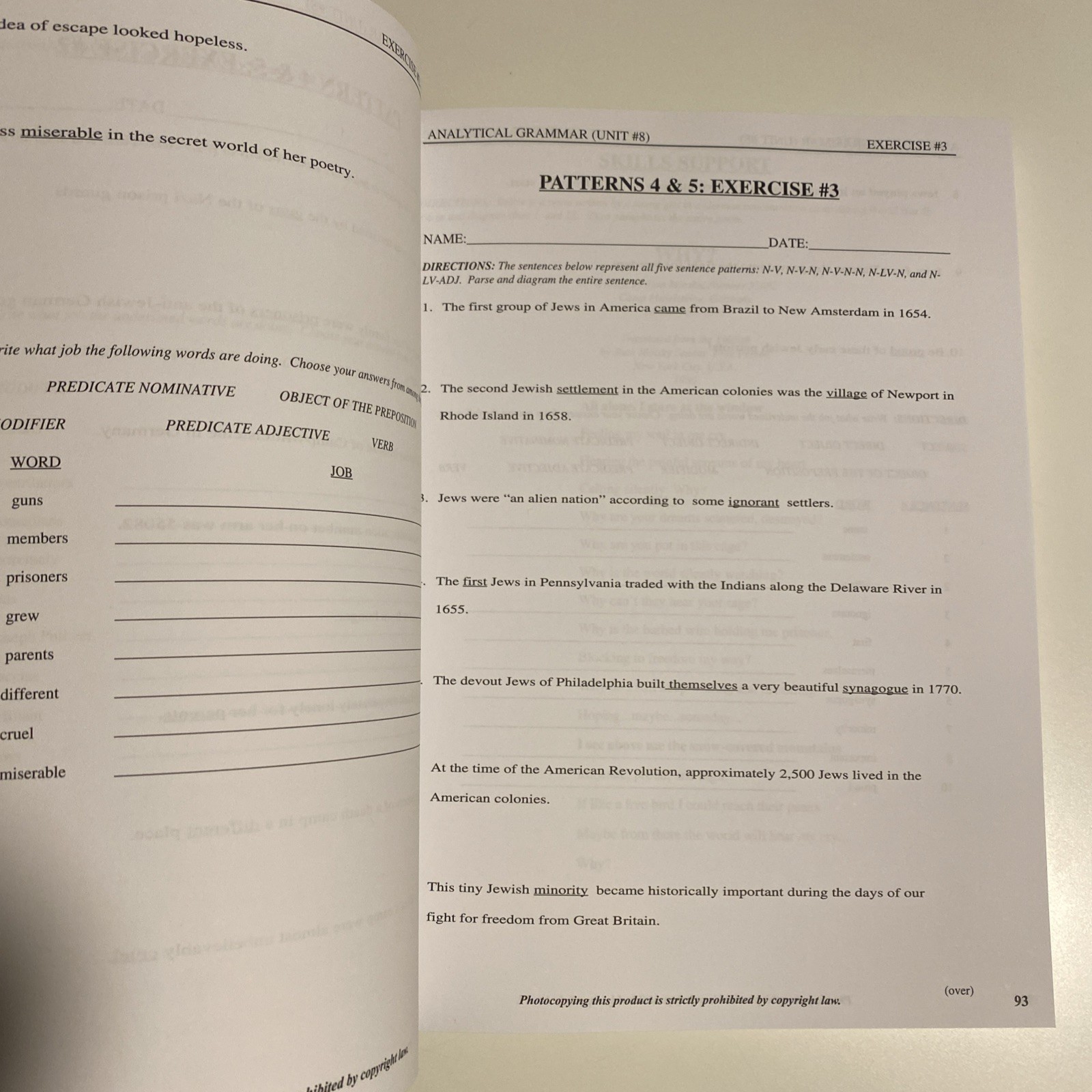 Analytical Grammar: A Systematic Approach to Language Mastery Student Workbook