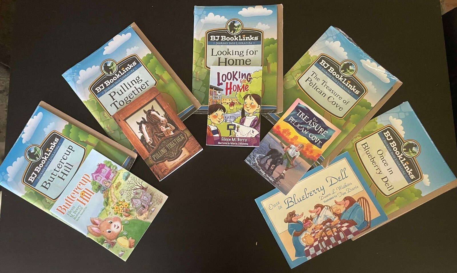 Bob Jones Booklinks Journey Into Literature Set