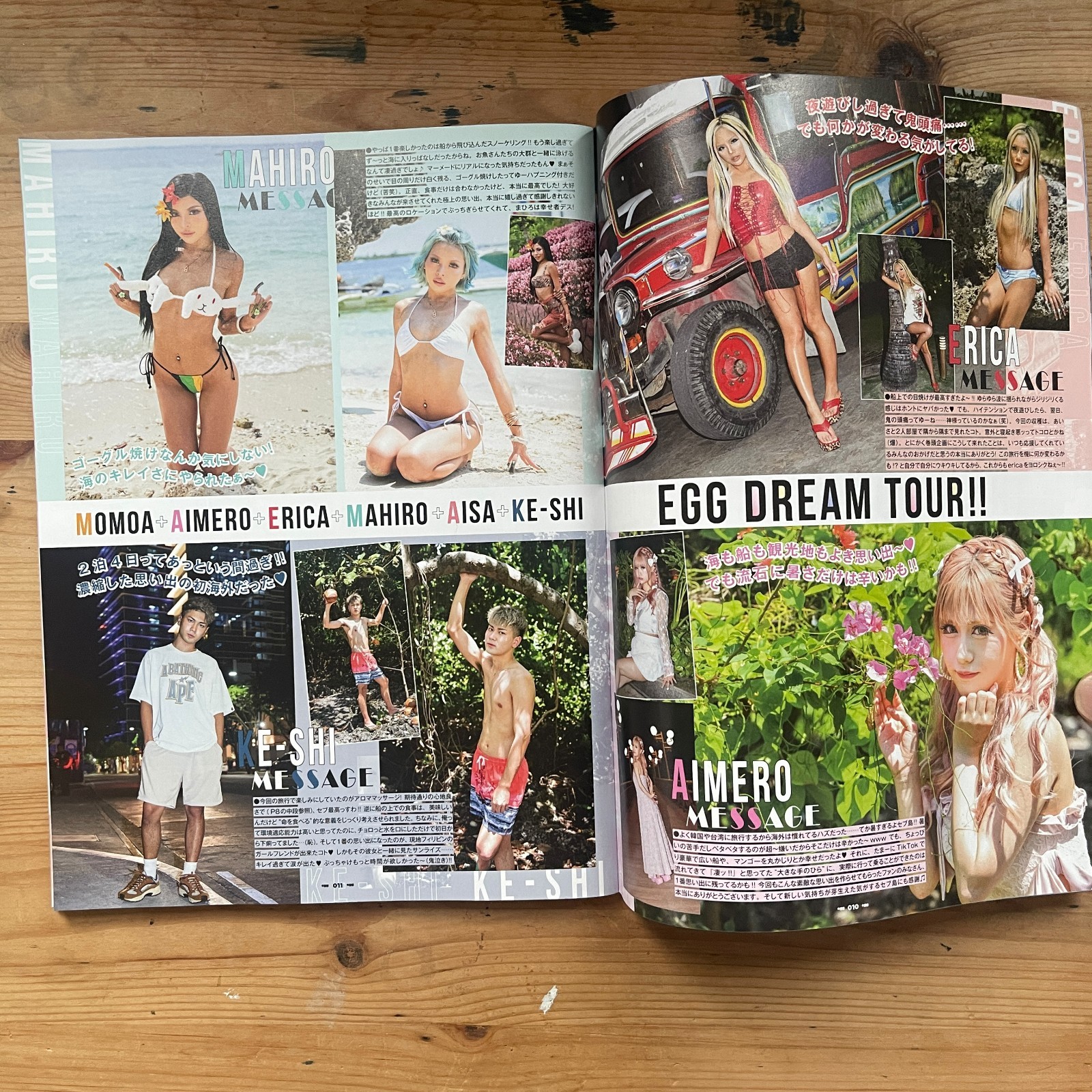 egg vol.12 power mook 83 2024 AUTUMN WINTER Taiyo Tosho Magazine