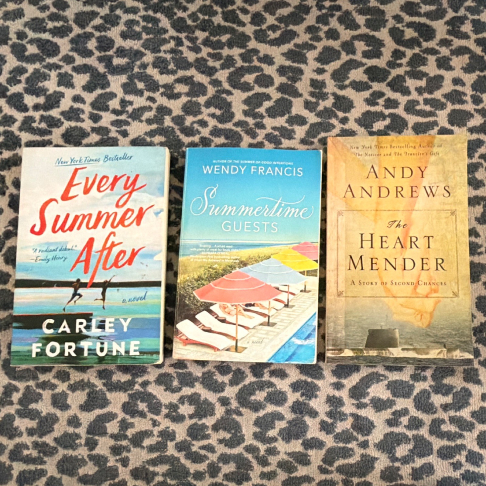 Beach Read Fiction Books 3 | Every Summer After, Summertime Guests, Heart Mender