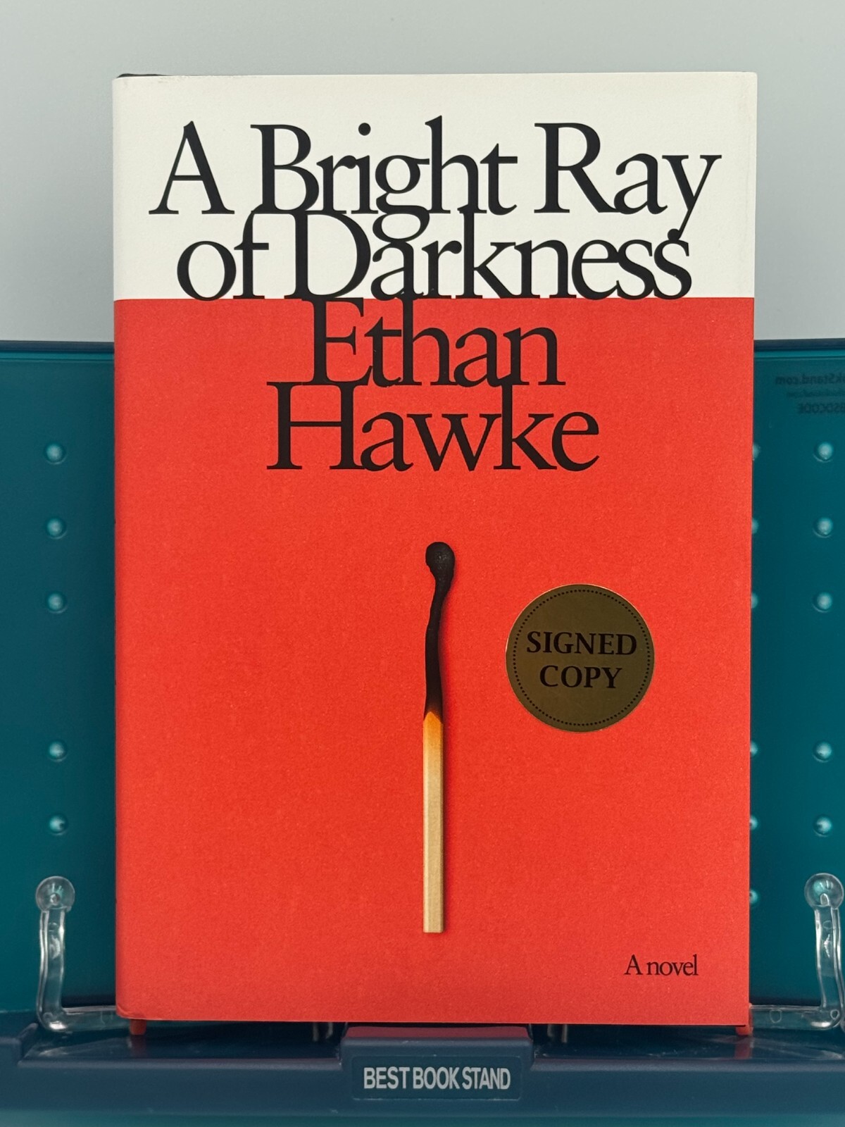 A Bright Ray of Darkness: A novel (Vintage Contemporaries) -Autographed hard bac