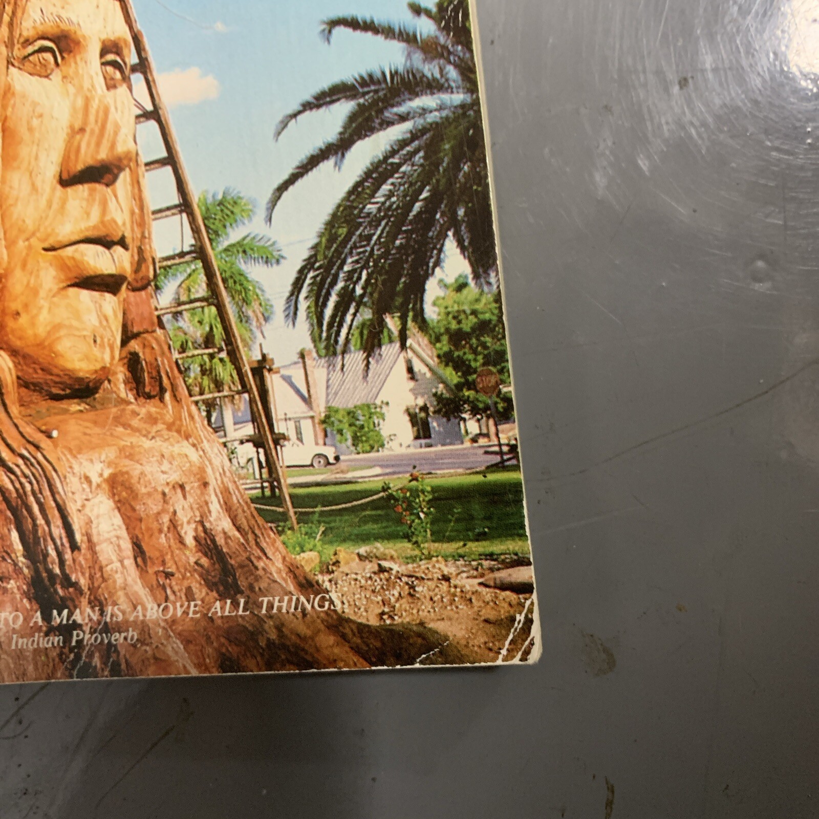 Indian Giver Signed by Peter Wolf Toth Native American Wood Sculptures 1983 Book