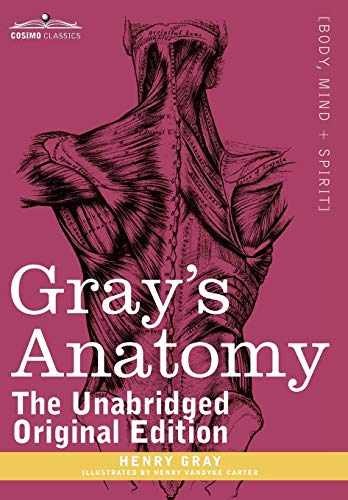 Gray&rsquo;s Anatomy: Descriptive and – Hardcover, by Gray M.D. F.R.S. – Very Good u