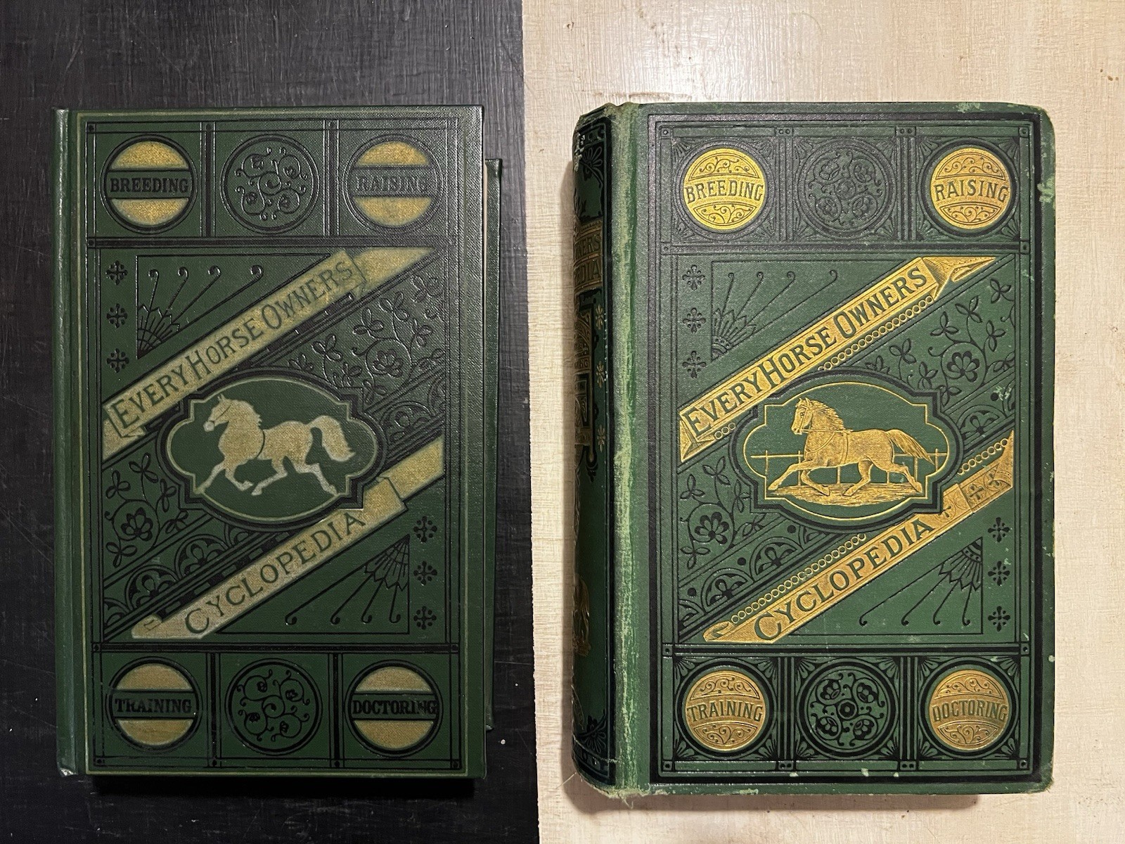 Every Horse Owners&rsquo; Cyclopedia – Diseases, And How To Cure Them 1875 & 1971