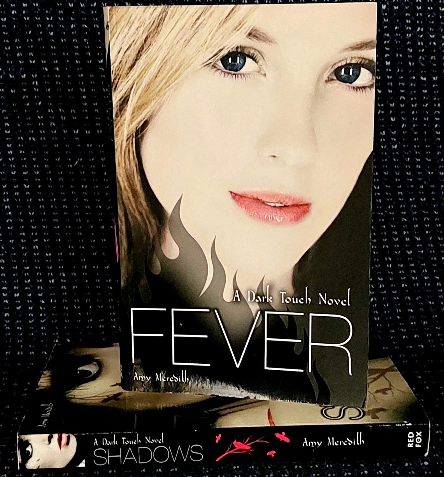 Fever & Shadows: A Dark Touch Novels by Amy Meredith Paperbacks Fantasy Fiction