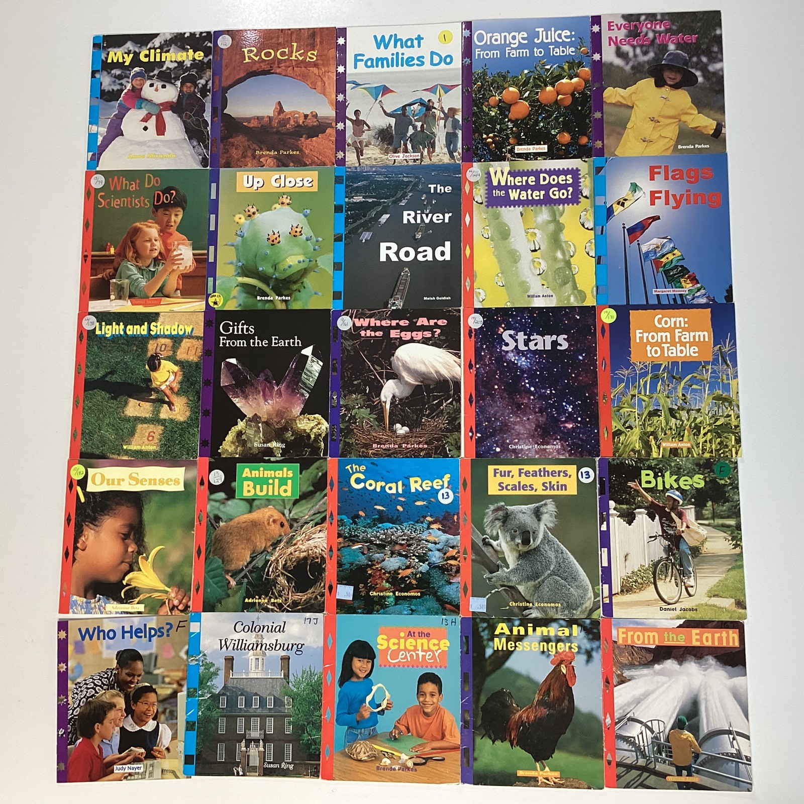 1st Grade 25 Book Reader Lot Level D-I Newbridge Discovery Links