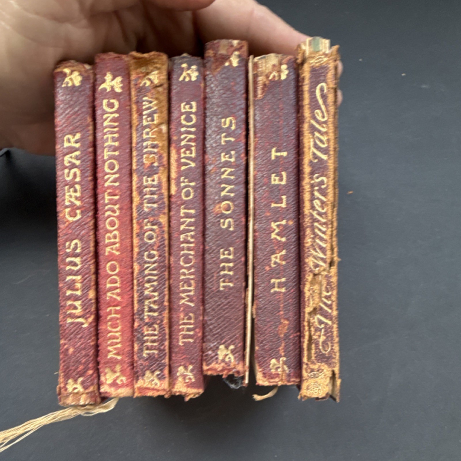 Temple Shakespeare Miniature Leather Book Set 87 Vols, Edinburgh, English