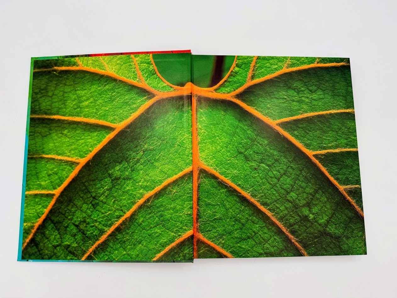 Rainforest by Thomas Marent, Hardcover Coffee Table Book with CD