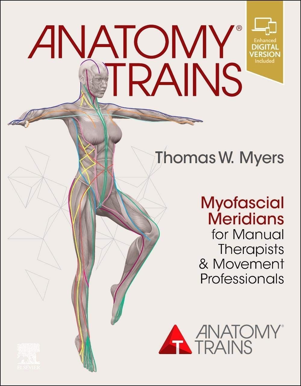 Anatomy Trains : Myofascial Meridians for Manual Therapist