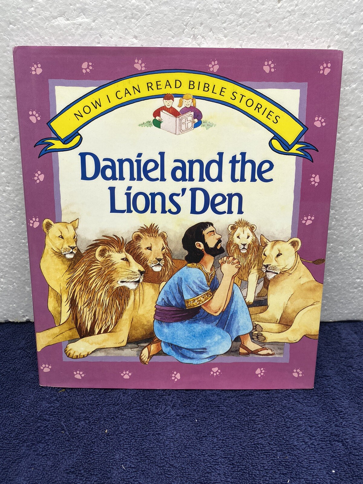 Daniel and the Lions&rsquo; Den by Rhona Pipe – Brand New Hardcover Book