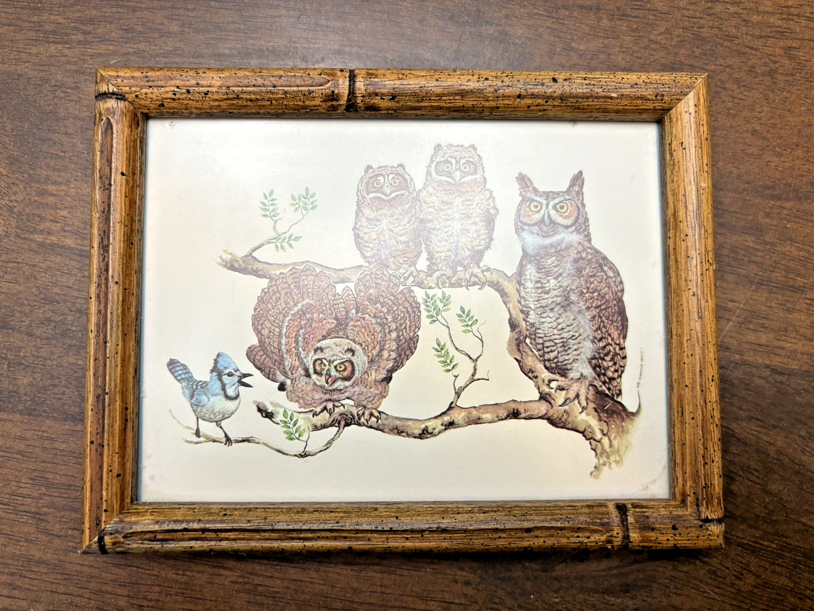 Framed Picture of Owl Family & a Bluebird 5.5 In by 6.5 In Wood Frame Vtg