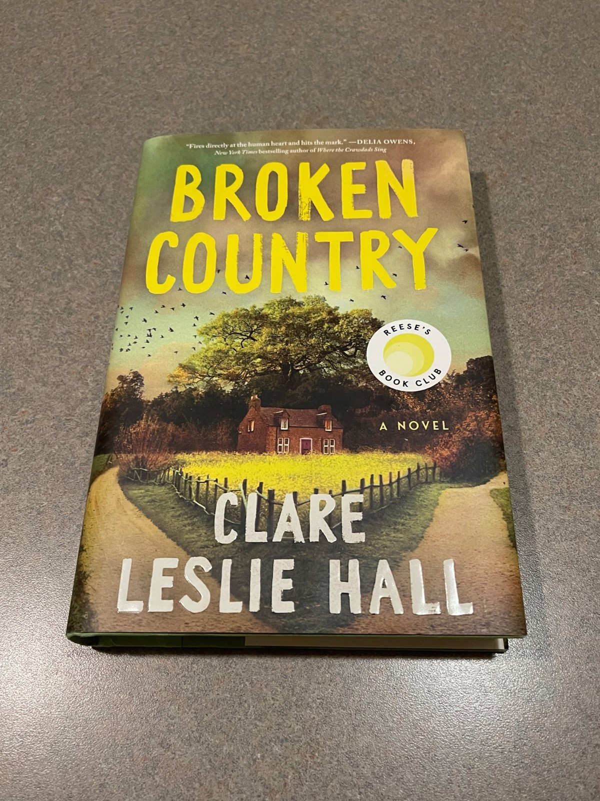 Broken Country by Clare Leslie Hall (2025, First Edition, 1st Printing Hardcover