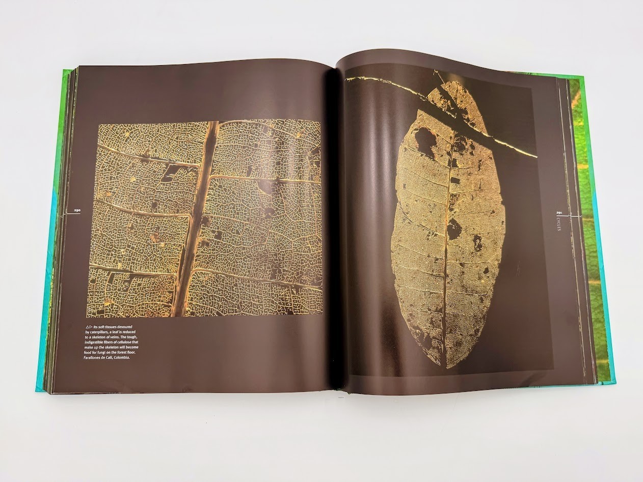 Rainforest by Thomas Marent, Hardcover Coffee Table Book with CD