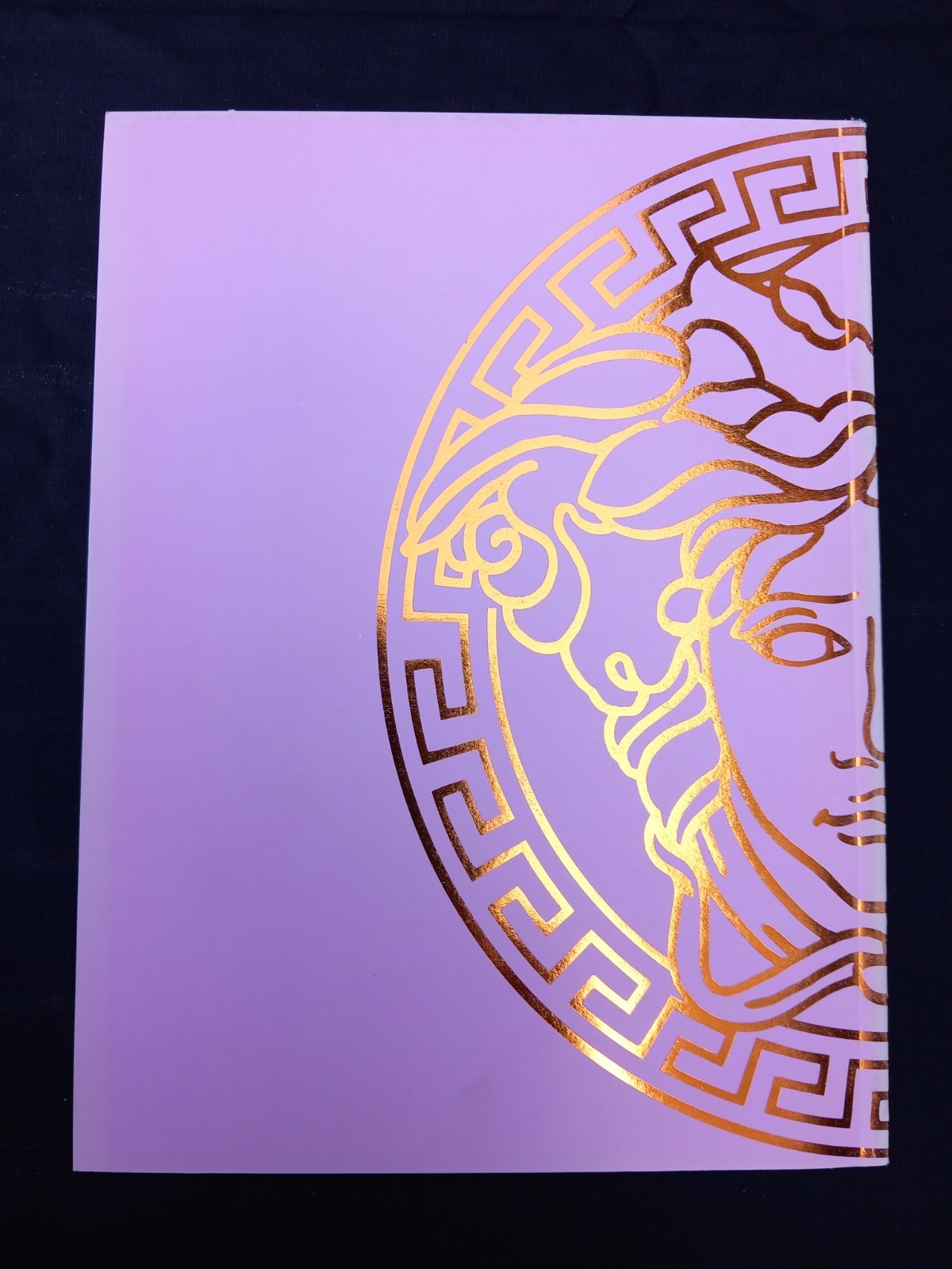 VERSACE Versus Womens Runway Collection – Spring/Summer 2001- small format