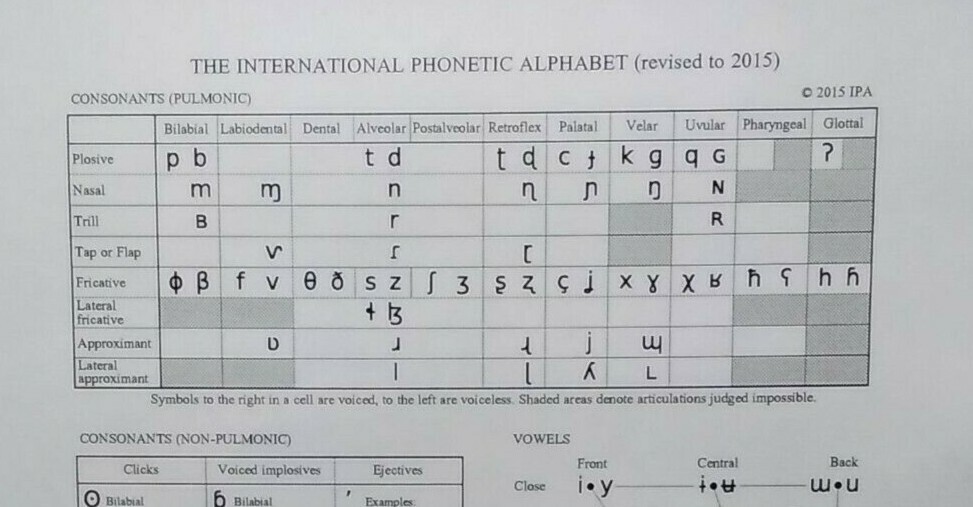 International Phonetic Alphabet Chart 11 x 9 inches ~ Laminated ~ FREE Shipping