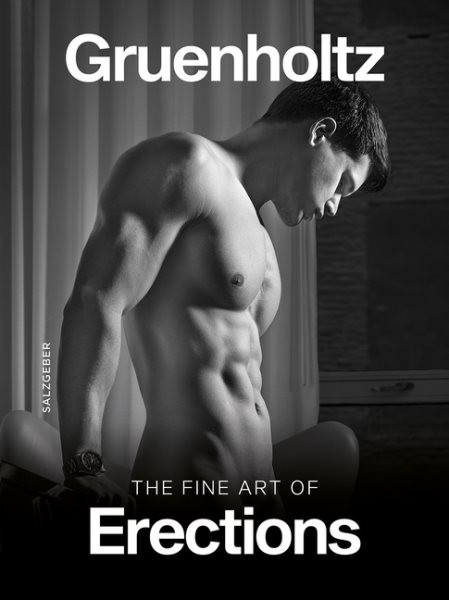 Fine Art of Erections, Hardcover by Gruenholtz (PHT), Like New Used, Free shi…