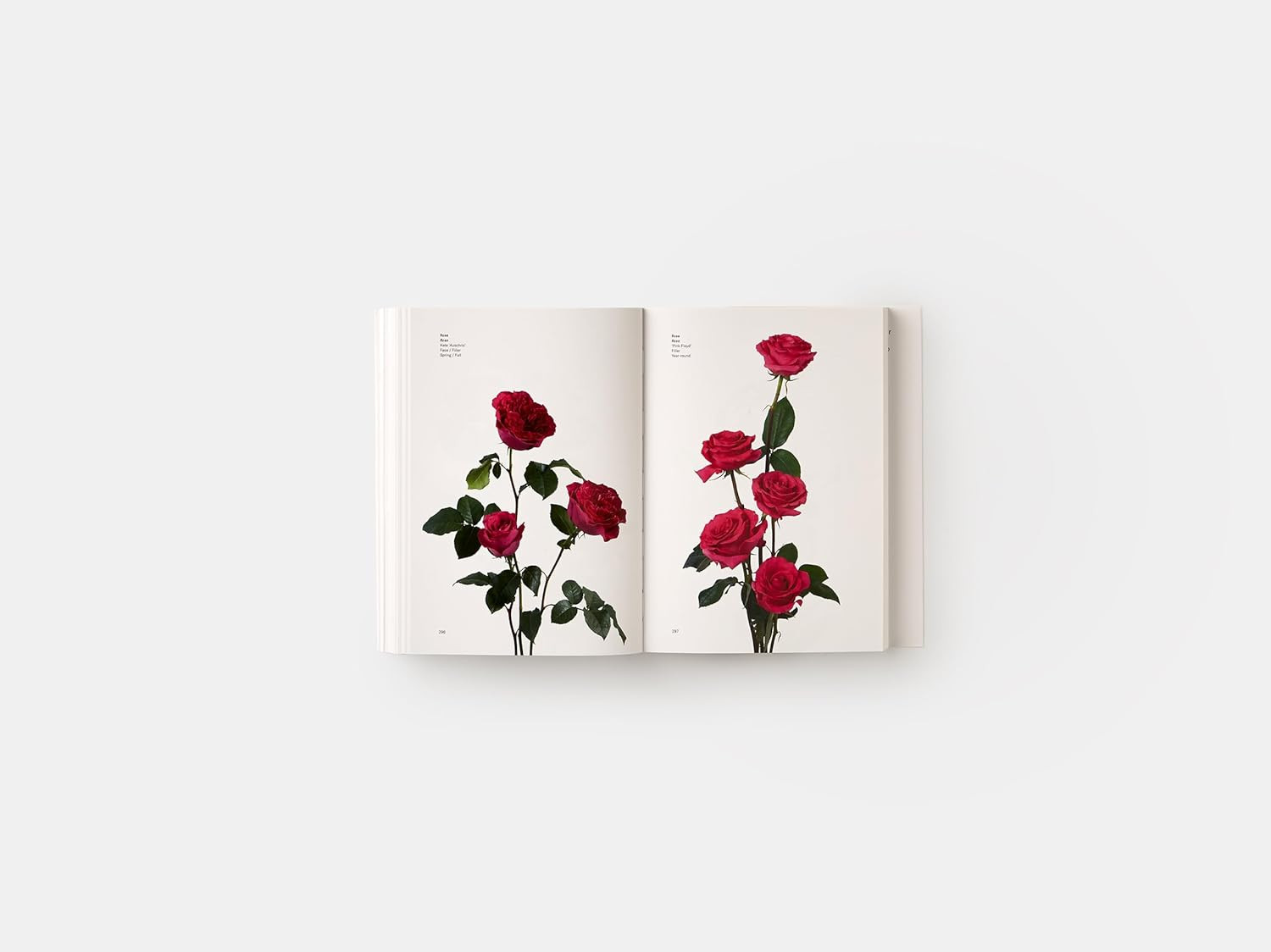 Flower Color Guide