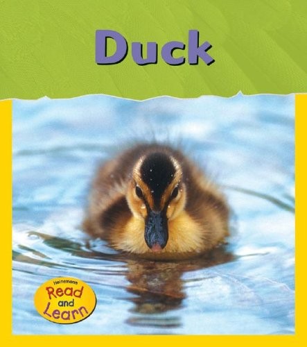 Duck (Heinemann Read and Learn : Life Cycles)